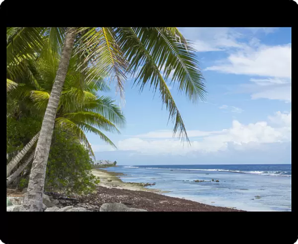 Majuro Marshall Islands beach with palm trees and ocean romantic scene