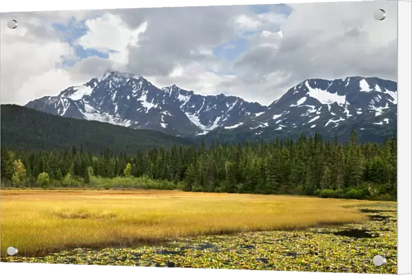 USA, Alaska, Kenai Peninsula. Early autumn landscape