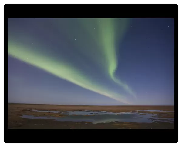Curtains of colored northern lights (aurora borealis) dance in the night sky over