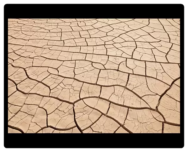 USA, Arizona, Gila Bend. Dried up and cracked river- bottom mud