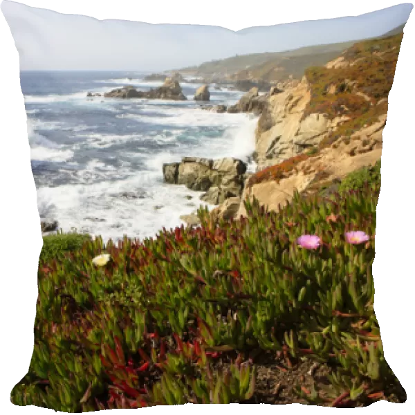 Breaking waves and flowers. Garrapata State Park. View towards North. Entrance #7