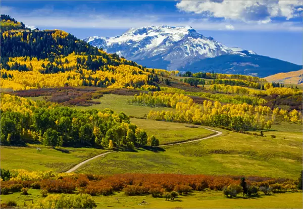 USA, Colorado, fall colors, vista