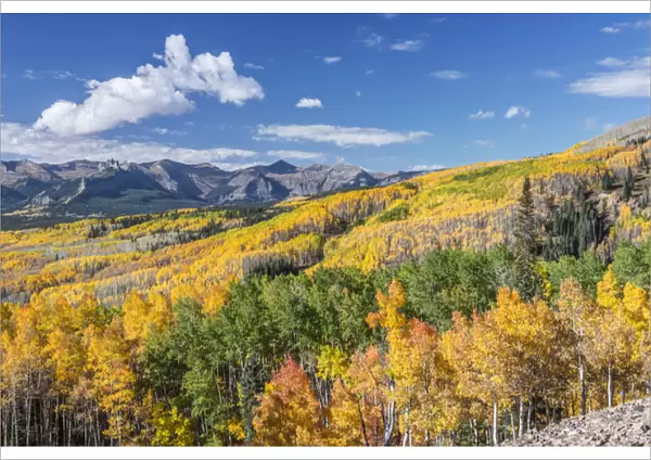 US, CO, Gunnison NF, Rocky Mountain Autumn