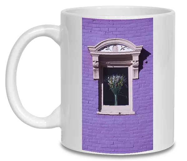 USA, Colorado, Leadville, purple wall wth flowers in window