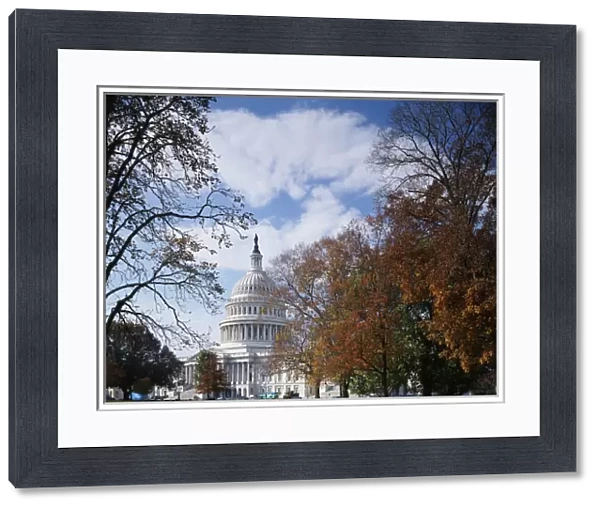 USA, Washington DC, View of Capitol Building with autumn trees
