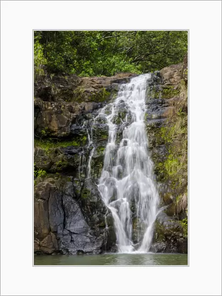 Waimea Falls, Waimea Valley Audubon Park, North Shore, Oahu, Hawaii