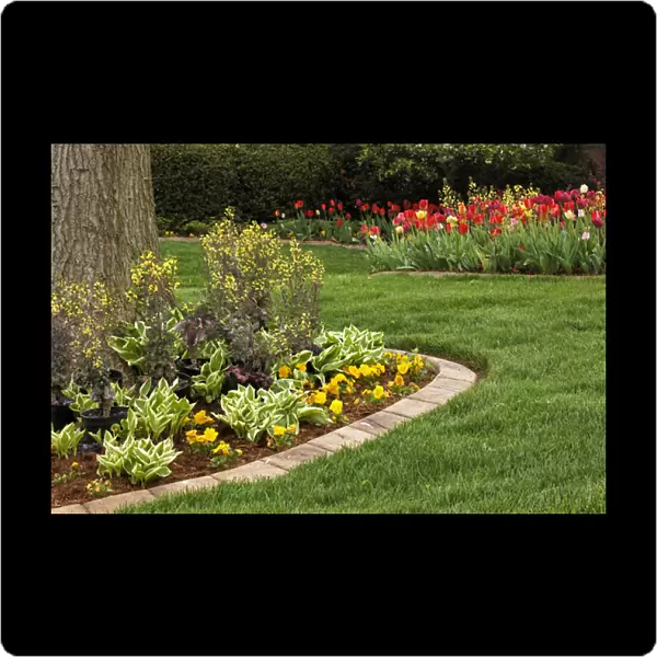 Yard landscaping, Audubon Park, Louisville, Kentucky