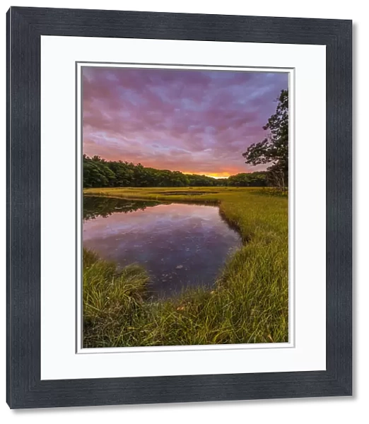 Dawn on the salt marsh along the Castle Neck River in Ipswich, Massachusetts