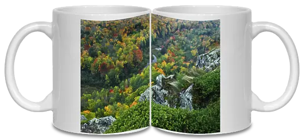 USA, Michigan, Upper Peninsula. Overlook of river in fall