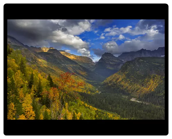 Autumn color expodes in the Upper McDonald Valley of Glacier National Park, Montana, USA