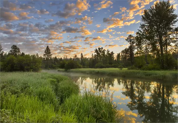 The Whitefish River with nice sunrise clouds reflectng in Whitefish, Montana, USA