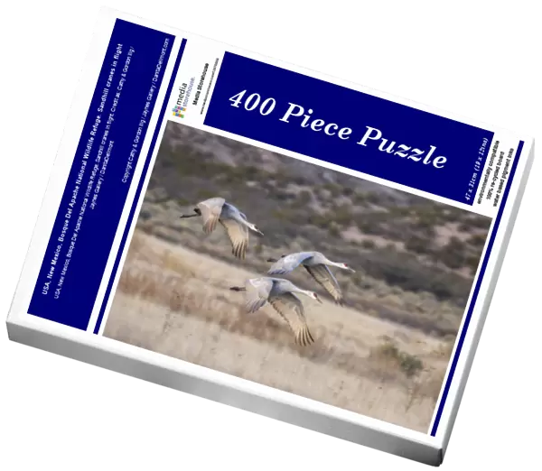 USA, New Mexico, Bosque Del Apache National Wildlife Refuge. Sandhill cranes in flight