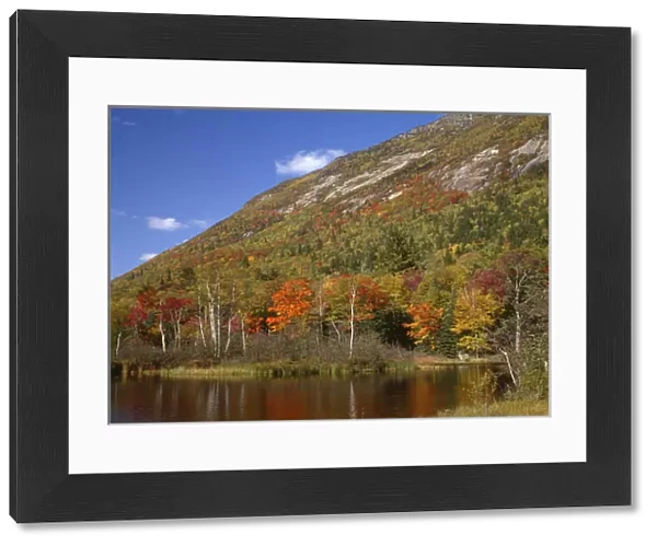 USA, New Hampshire, White Mountains, Crawford Notch State Park, Fall-colored northern