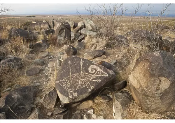 Petroglyph at the Three Rivers Petroglyph Site near Tularosa, New Mexico