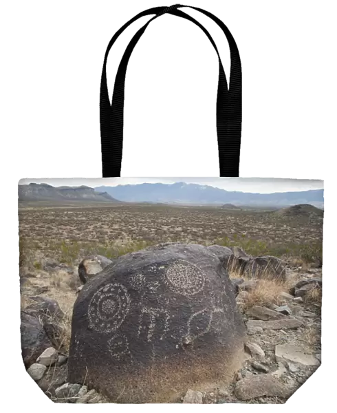 Petroglyph at the Three Rivers Petroglyph Site near Tularosa, New Mexico