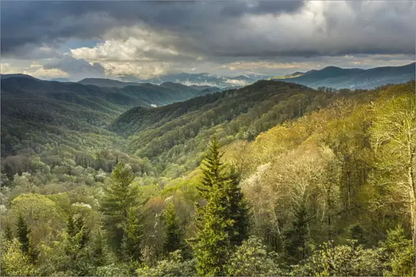 View of Deep Creek in early spring, Great Smoky Mountains National Park, North Carolina