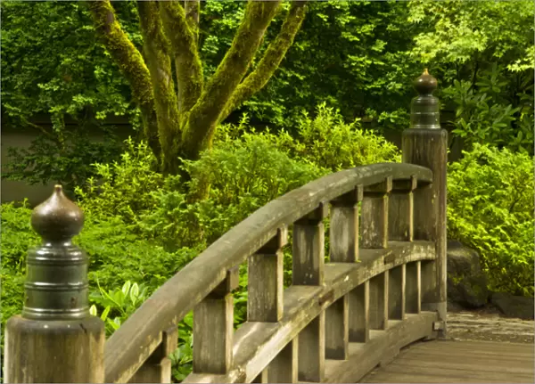 Moon Bridge, Strolling Garden, Portland Japanese Garden, Portland, Oregon, USA