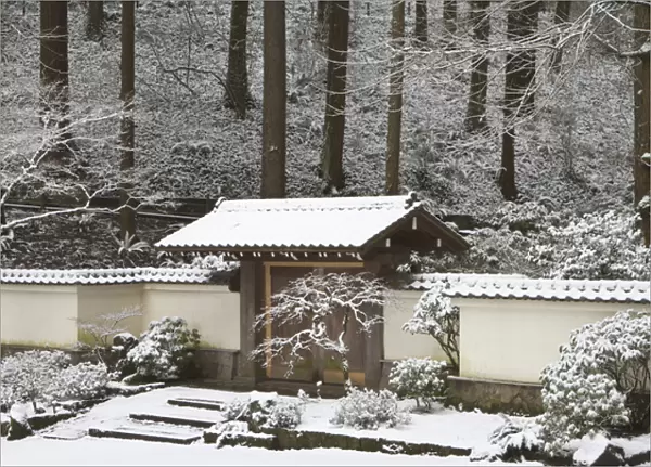 Portland Japanese Garden with a rare snow, Oregon