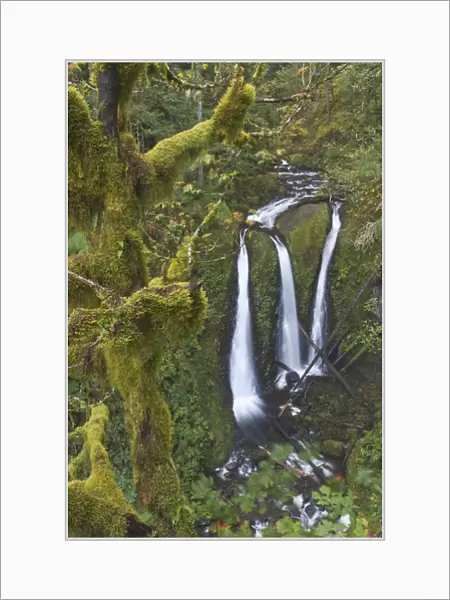 Triple Falls on Oneonta Creek, Columbia River Gorge, Oregon