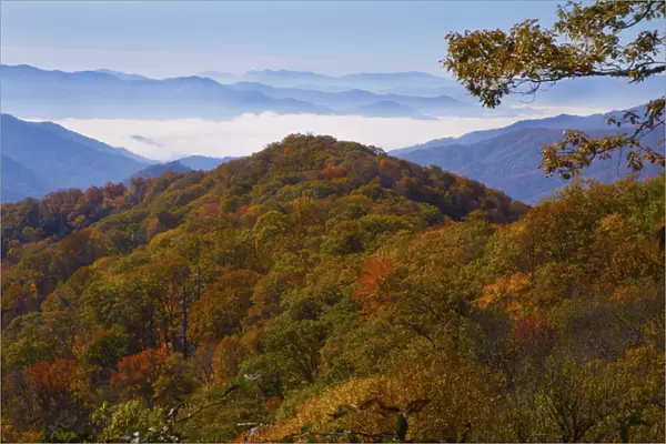 Autumn in the Great Smoky Mountain National Park, Tennessee