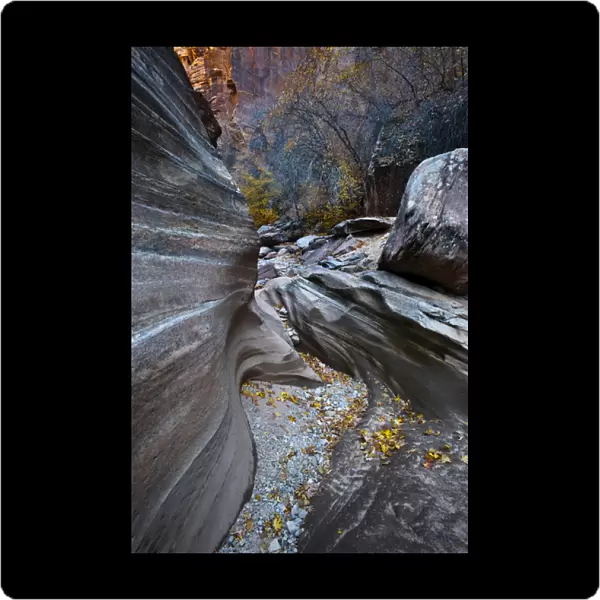 USA, Utah, Zion National Park. Canyon in fall along Zion-Mount Carmel Highway. Credit as