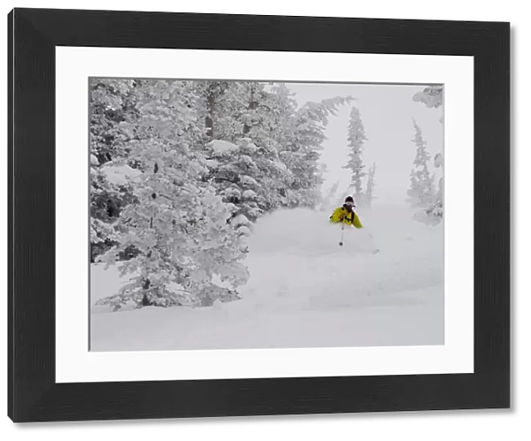 Man skiing through rimed aspen and evergreen trees in a snow storm near Gobblers Knob