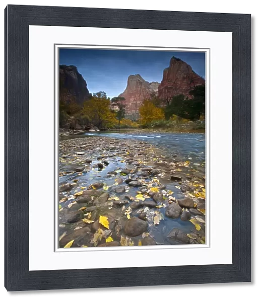 USA, Utah, Zion National Park. The Sentinel with fallen leaves in Virgin River. Credit as