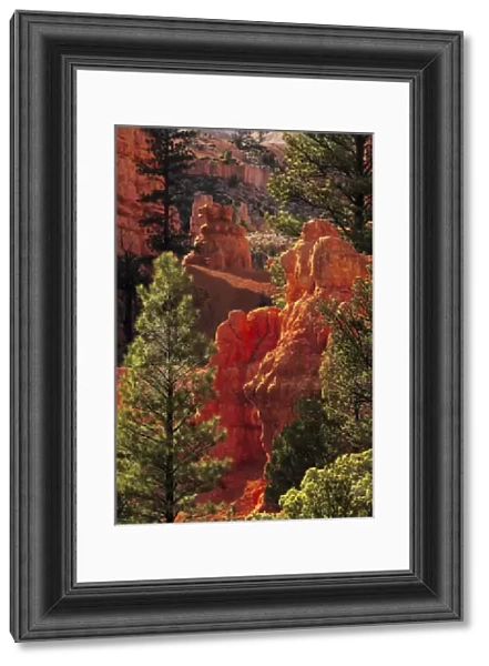 Red Rock; Red Canyon; Utah; USA; nature; scenic; late afternoon; natural wonder