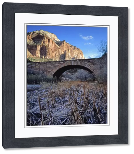 Zion National Park, Utah. USA. East Temple rises above frosted cattails & bridge over Pine Creek