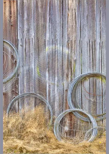 USA, Washington, Silverdale. Wire coiled on barn wall at historic Petersen Farm. Credit as
