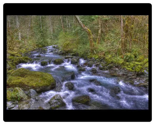 USA, Washington, Rocky Brook Falls. Scenic of stream cascading over rocks. Credit as
