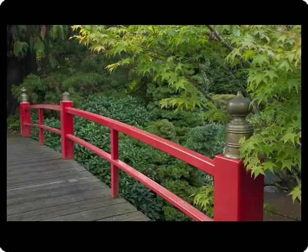 North America, United States, Washington, Renton, red bridge in Kubota Japanese Garden