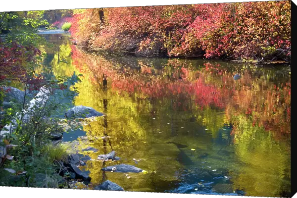 Deep Fall Colors Wenatchee River Stevens Pass Leavenworth Washington