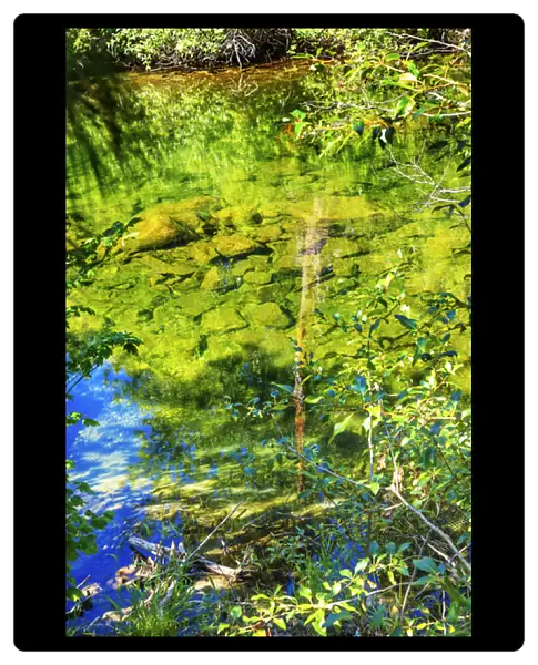 Summer Colors Green Blue Reflection Wenatchee River Reflections Stevens Pass Leavenworth