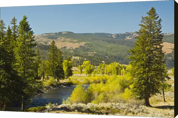 early autumn; Lamar River Valley; Yellowstone National Park; Wyoming; USA