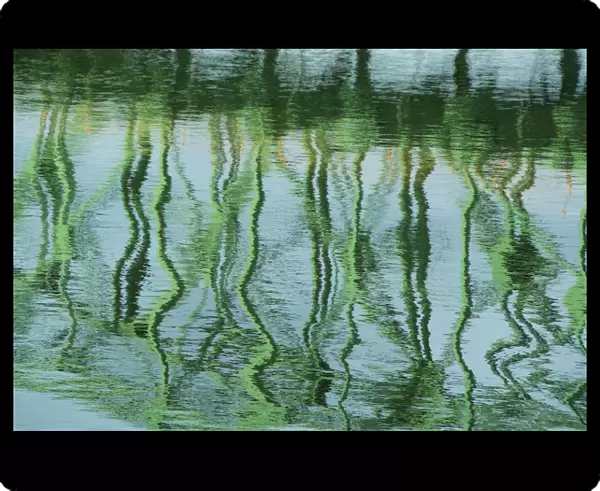 Green bridge reflection in water