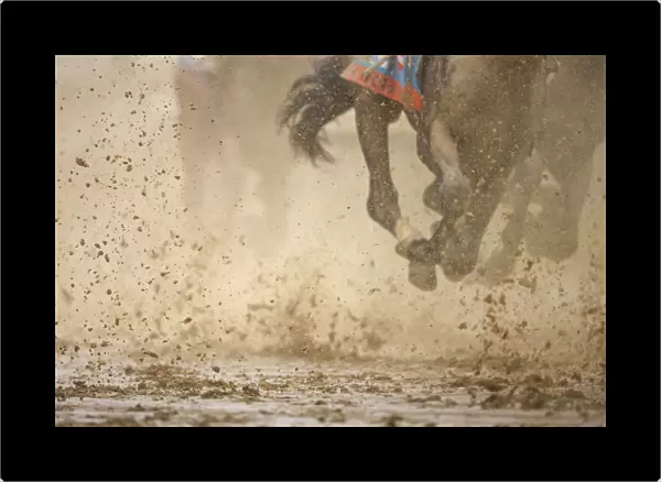 Horse racing in the mud