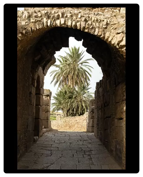 Entrance to the Theater, Roman ruins of Bulla Regia, Tunisia, North Africa
