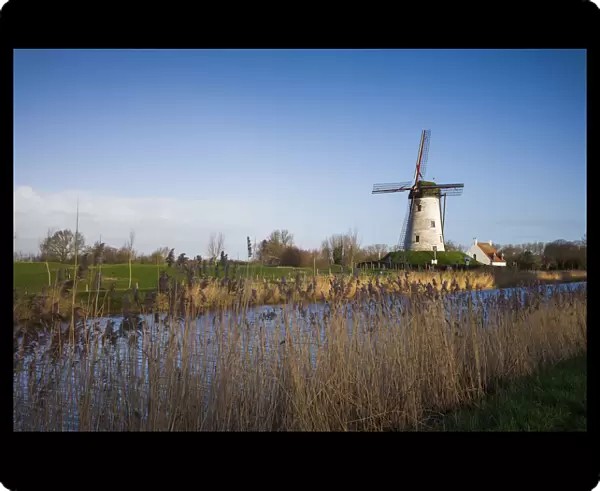 Belgium, Bruges-area, Damme, old wind mill