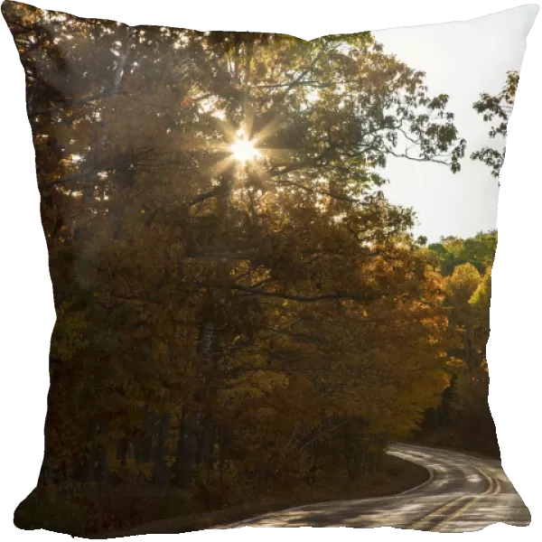 USA, Michigan. Sunlight streams through autumn foliage along a country road in the