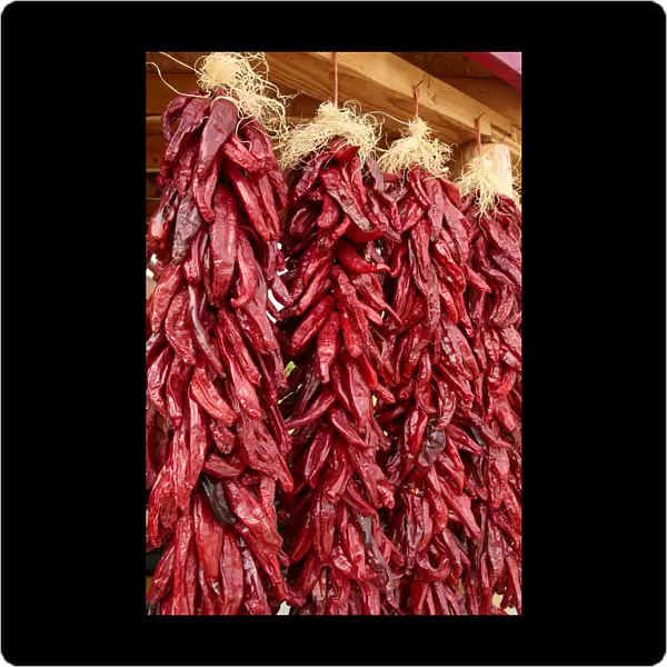 Hatch, New Mexico, United States. Red chiles hang out to dry