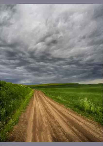 North America; USA; Washington; Palouse Country; Stormy Day Traveling through Country