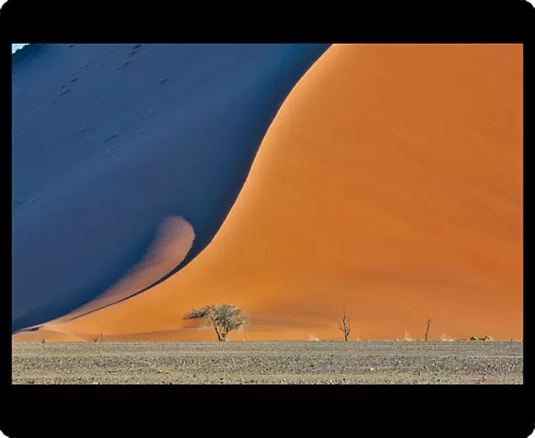 Africa, Namibia, Sossusvlei. Dune in the afternoon