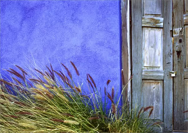 USA, Arizona, Tucson. Colorful wall and weathered door