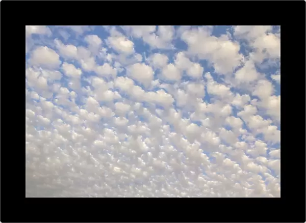 USA, Arizona, Sonoran Desert. Morning cloud formations