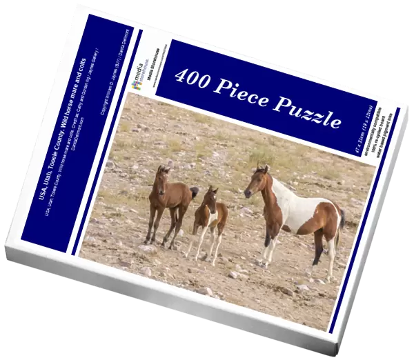 USA, Utah, Tooele County. Wild horse mare and colts