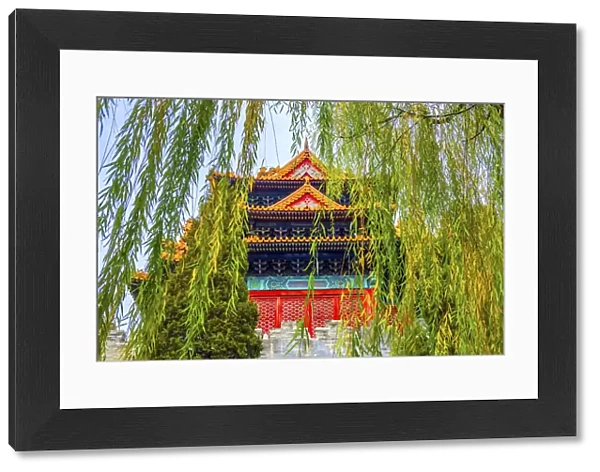 Arrow Tower, willow tree in Autumn. Forbidden City palace wall, Beijing, China
