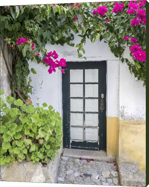 Portugal, Obidos. Doorway surrounded by a bougainvillea vine