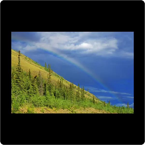 Carmacks. Rainbow over mountain slope. Credit as: Mike Grandmaison  /  Jaynes Gallery
