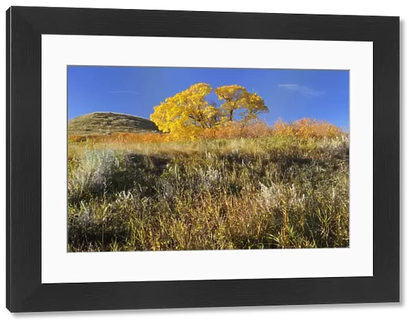 Canada, Saskatchewan, Saskatchewan Landing Provincial Park. Hills in autumn. Credit as